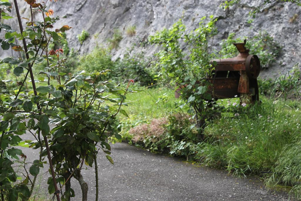 Guest house Muriances